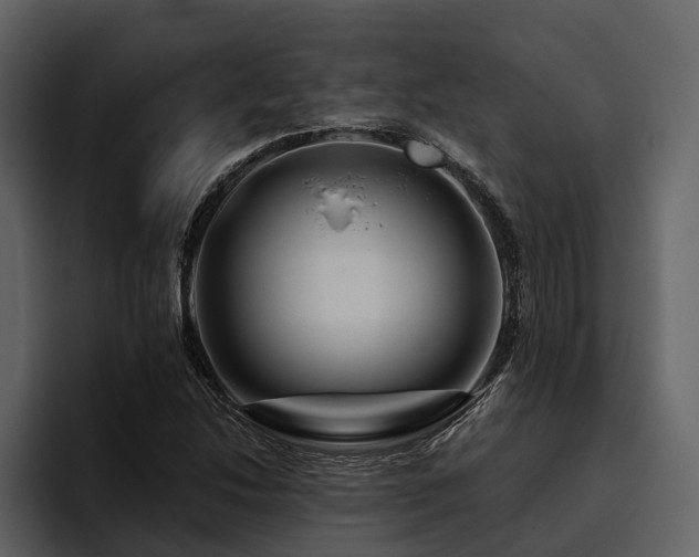X0000095921214200801111228