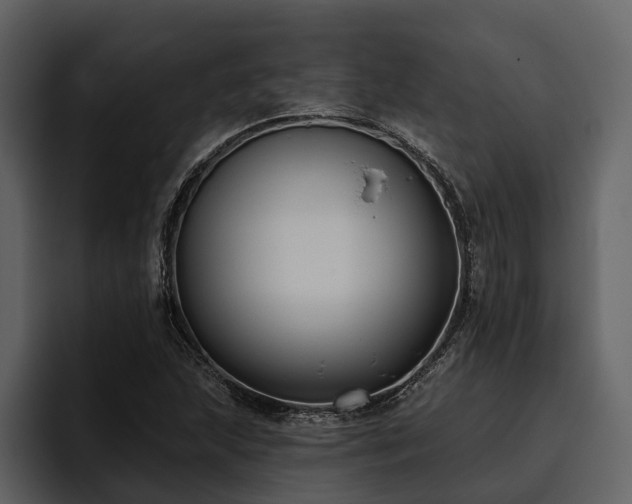 X0000095921215200801111228