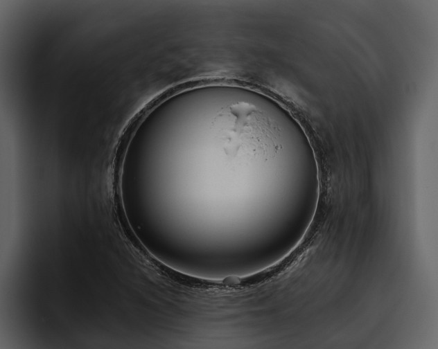 X0000095921216200801111228