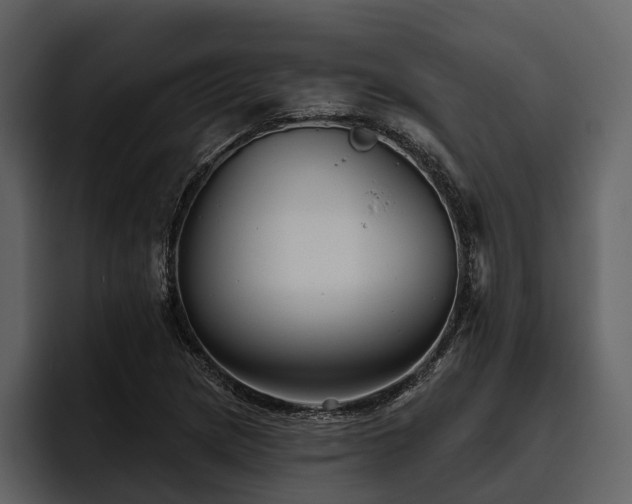 X0000095921217200801111228