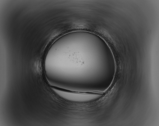 X0000095921218200801111228