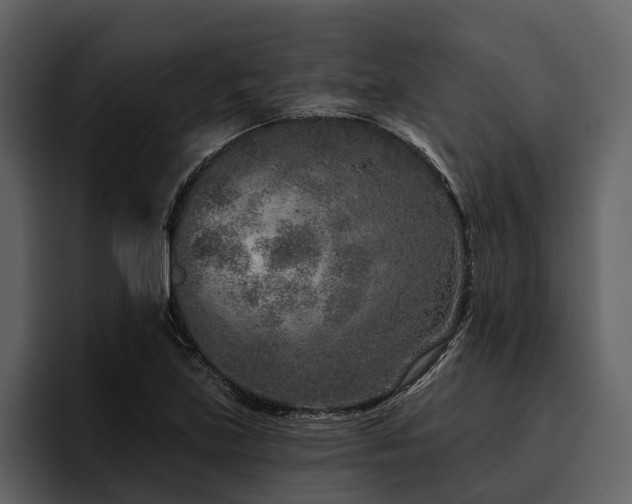 X0000095921219200801111228