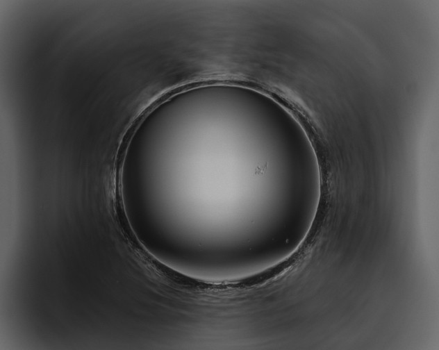 X0000095921220200801111228