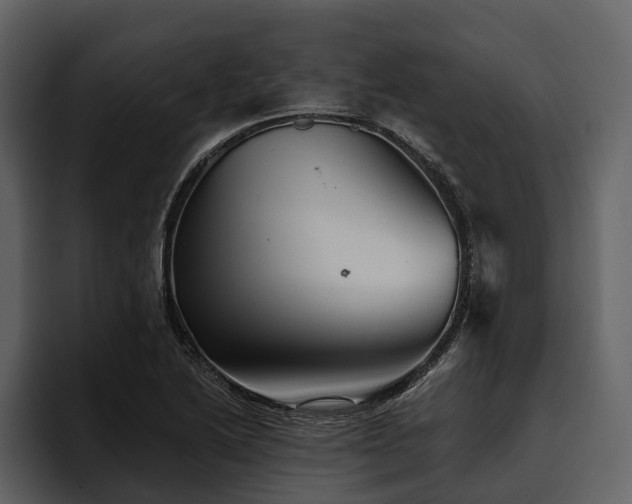 X0000095921222200801111228