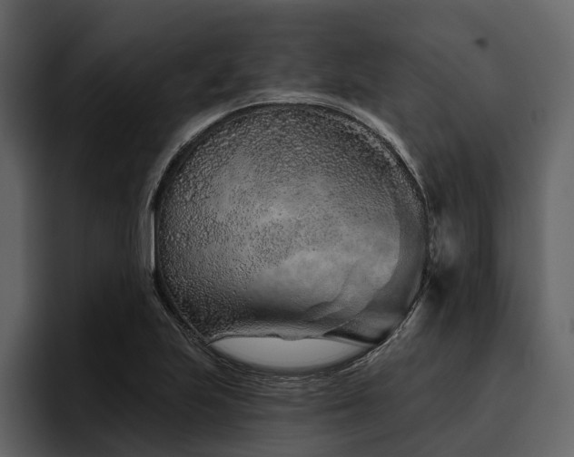 X0000095921223200801111228