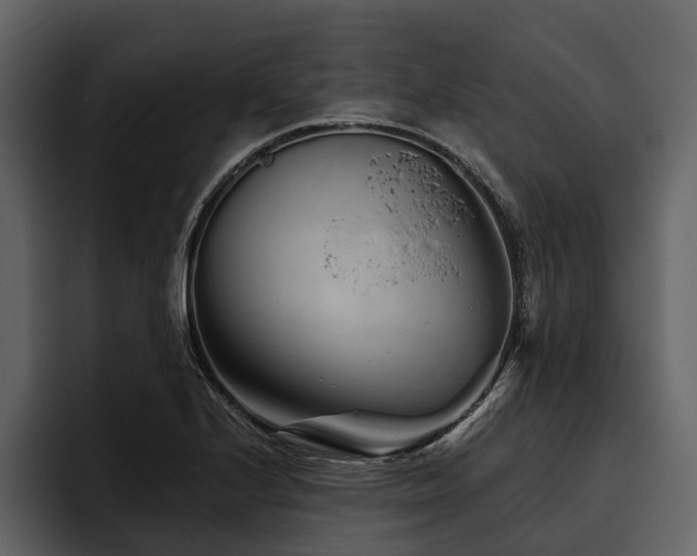 X0000095921224200801111228