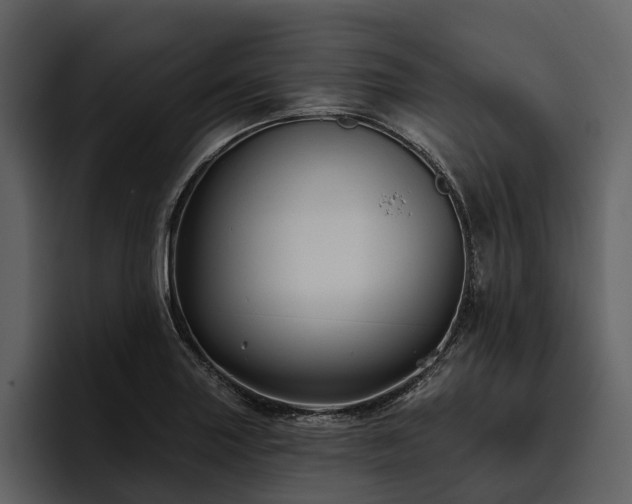 X0000095921227200801111228