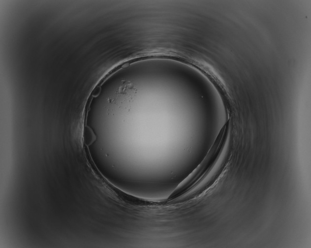 X0000095921228200801111228