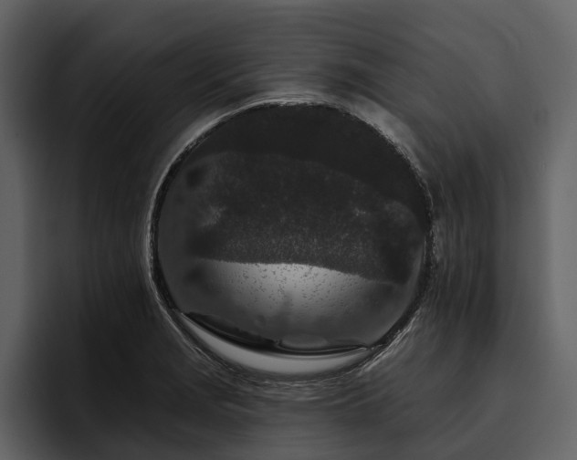 X0000095921229200801111228