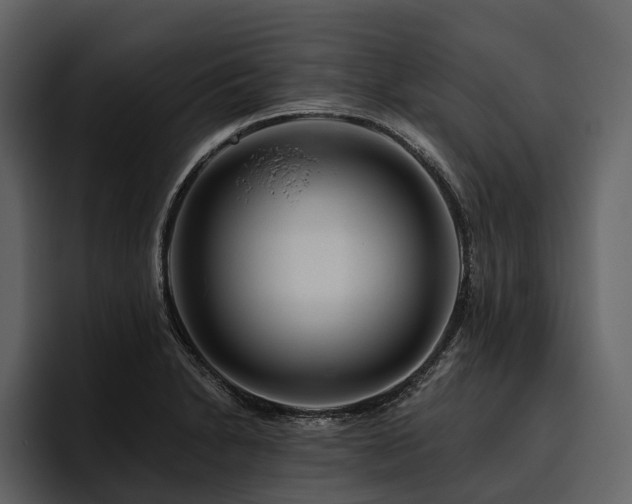X0000095921230200801111228