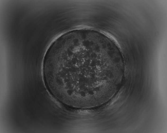 X0000095921231200801111228