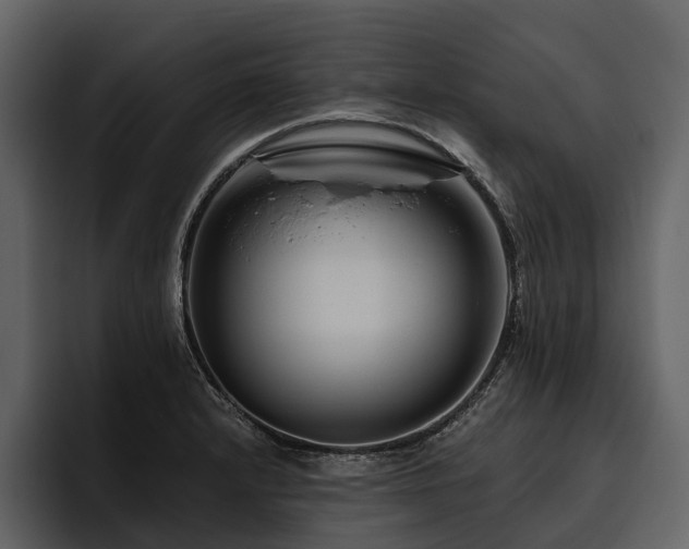 X0000095921232200801111228