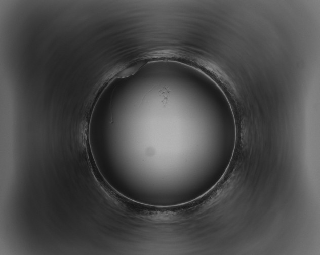 X0000095921233200801111229