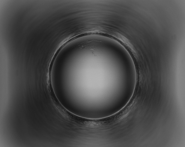 X0000095921234200801111229