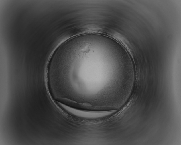 X0000095921235200801111229