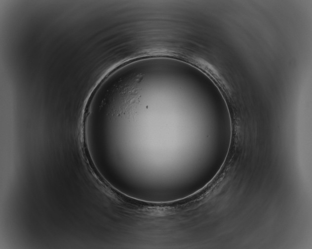 X0000095921236200801111229