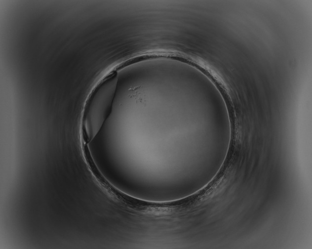 X0000095921237200801111229