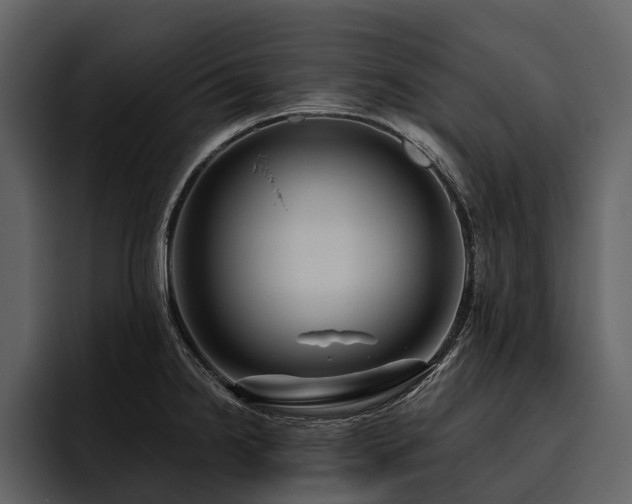 X0000095921238200801111229