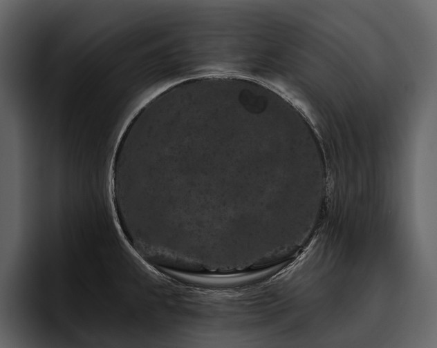X0000095921239200801111229