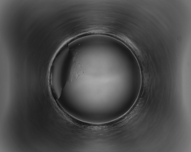 X0000095921240200801111229