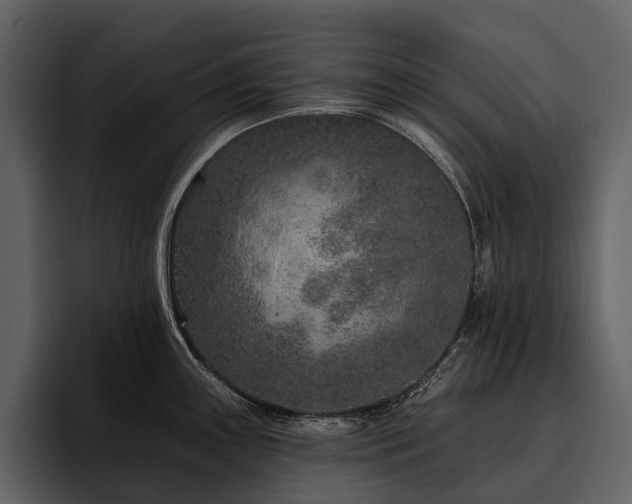 X0000095921243200801111229