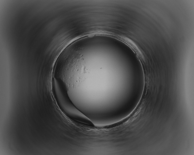 X0000095921244200801111229