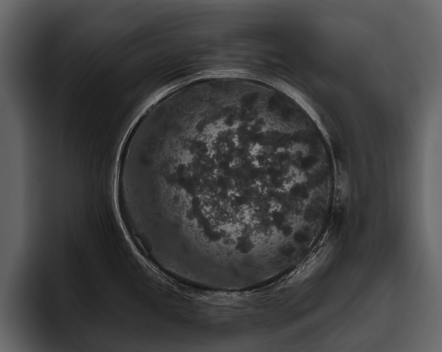 X0000095921245200801111229