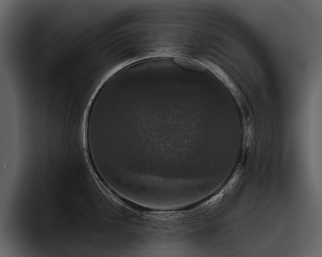 X0000095921246200801111229