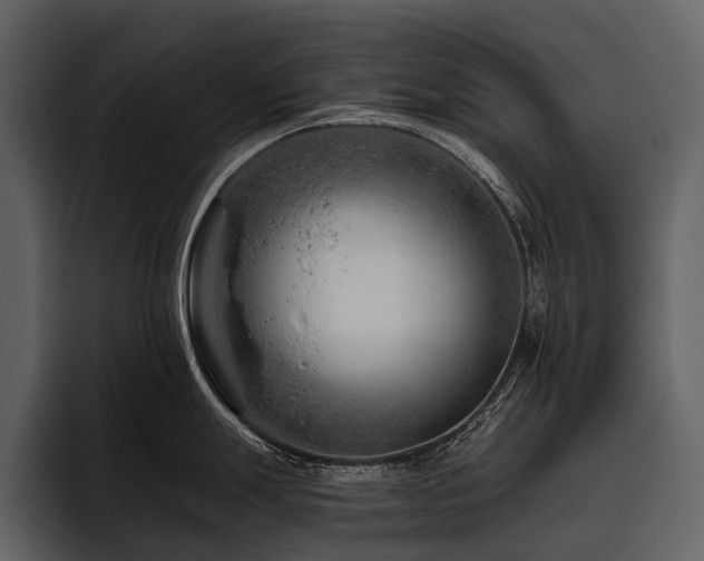 X0000095921247200801111229