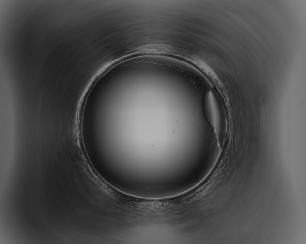 X0000095921248200801111229