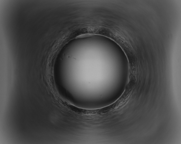 X0000095921249200801111228