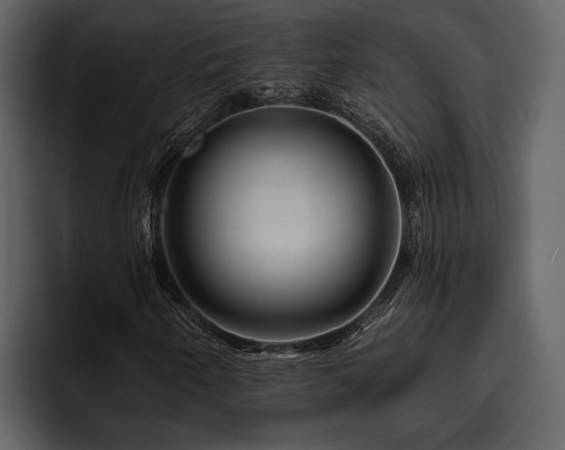 X0000095921250200801111228