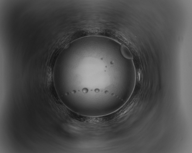 X0000095921251200801111228