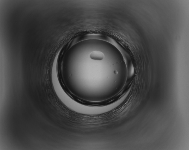 X0000095921252200801111228
