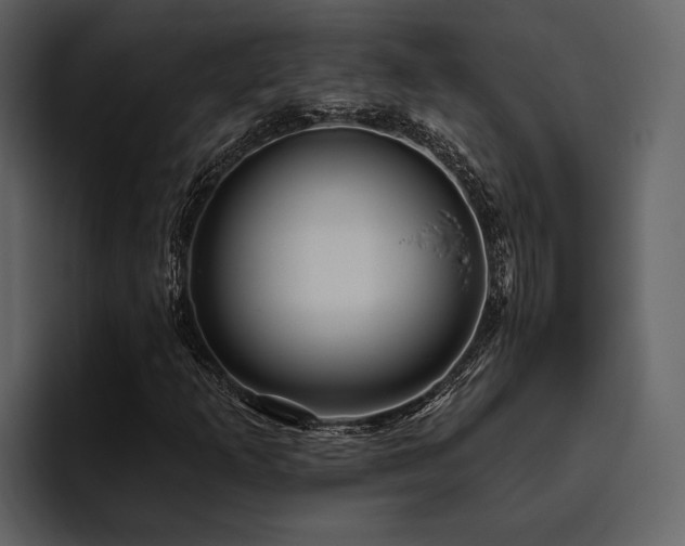 X0000095921253200801111228