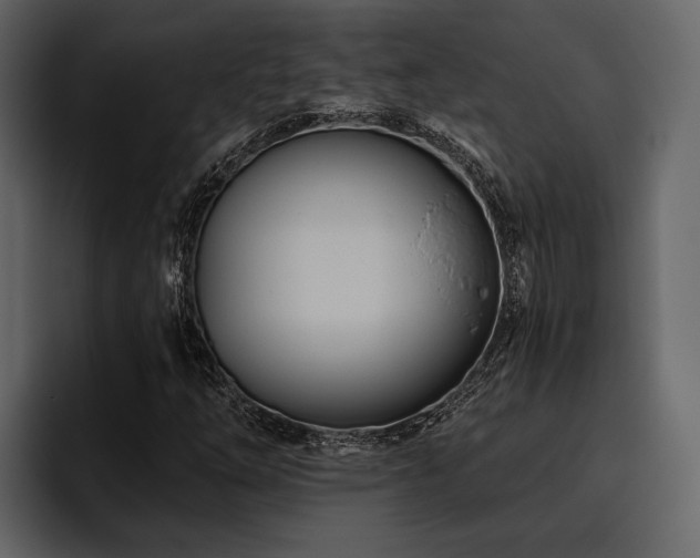 X0000095921254200801111228