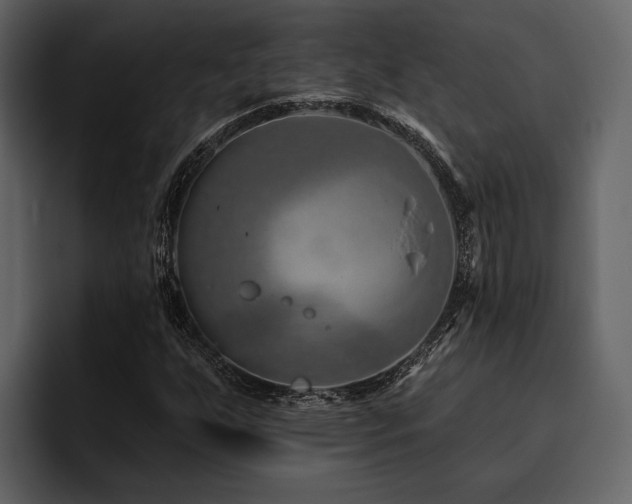 X0000095921255200801111228