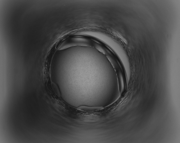 X0000095921256200801111228
