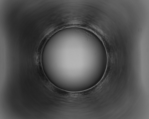 X0000095921258200801111228