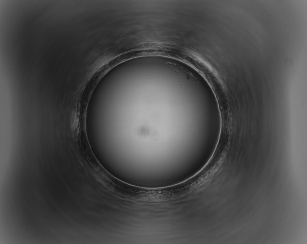 X0000095921259200801111228