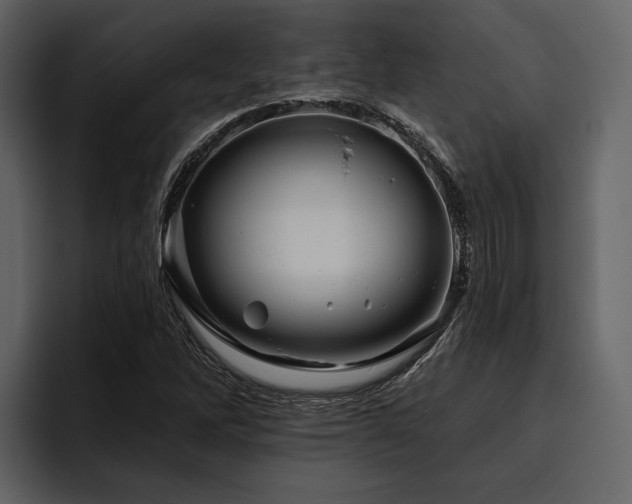 X0000095921262200801111228