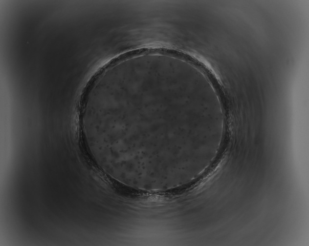 X0000095921263200801111228