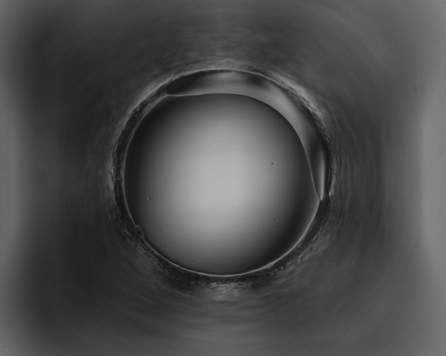 X0000095921264200801111228
