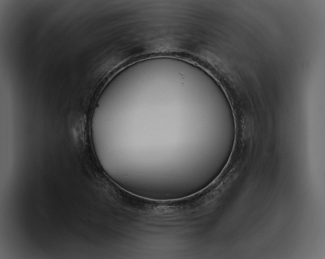 X0000095921265200801111228