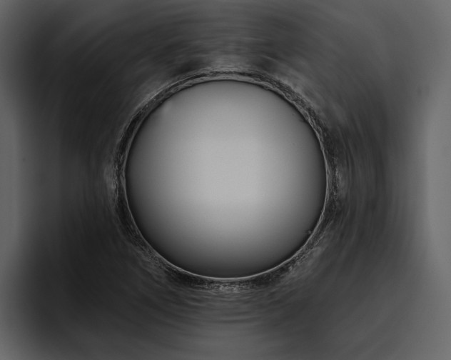 X0000095921266200801111228