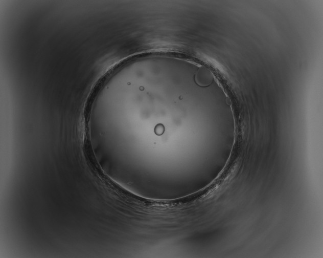 X0000095921267200801111228