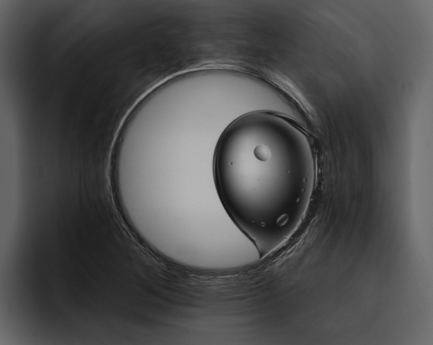 X0000095921268200801111228