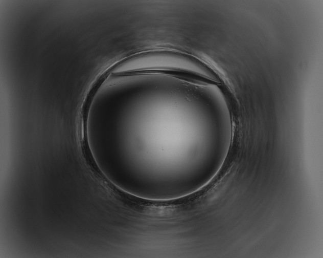 X0000095921269200801111228