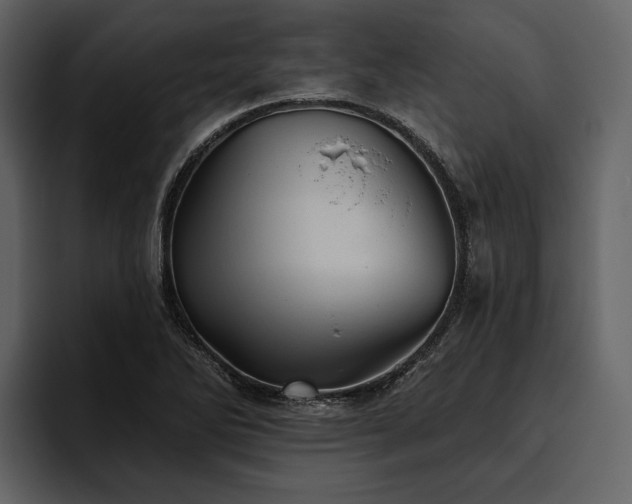 X0000095921270200801111228