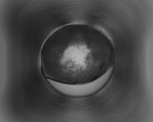 X0000095921276200801111228